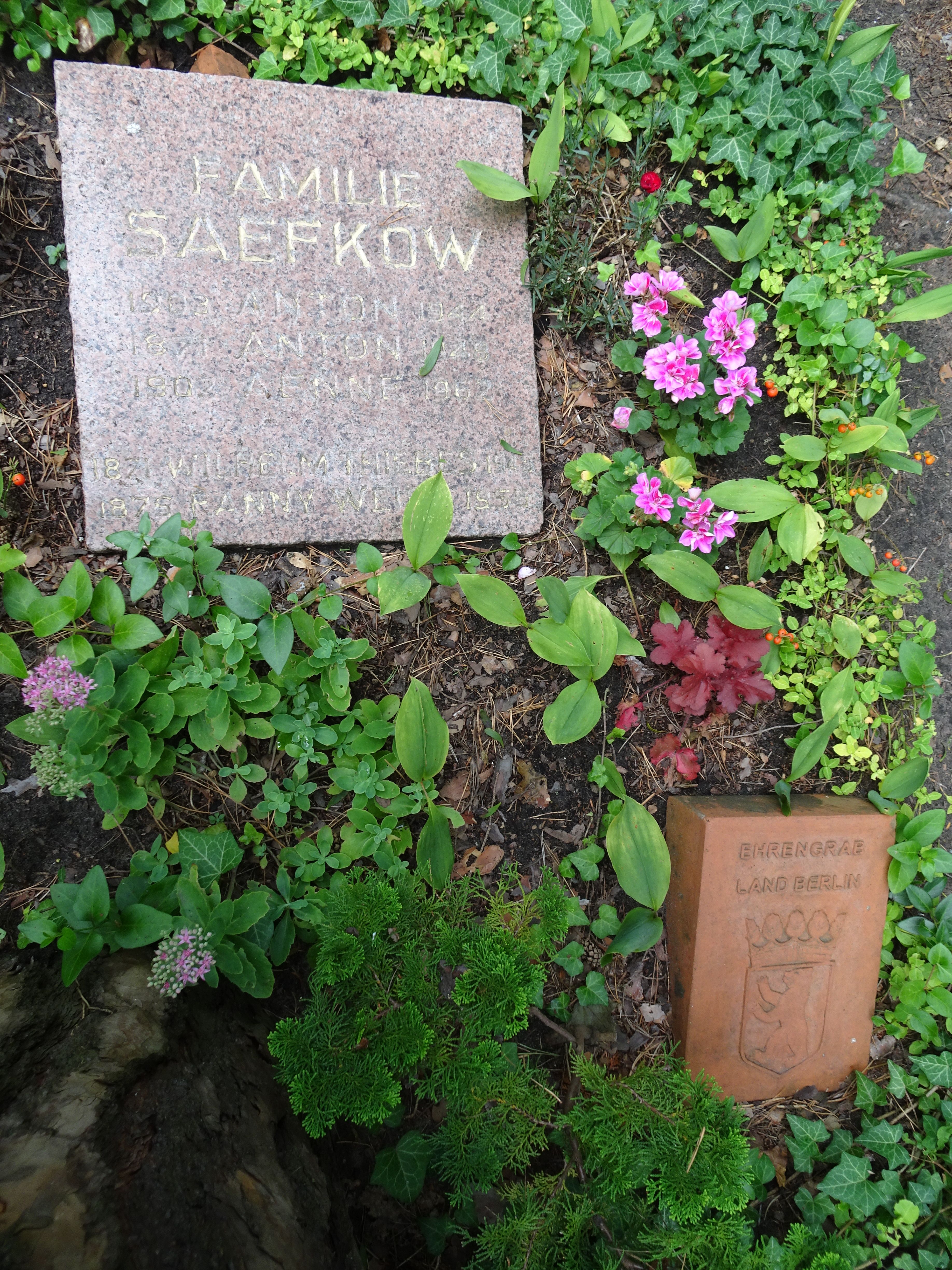 Ehrengrab von Anton Saefkow auf dem Friedhof Pankow III