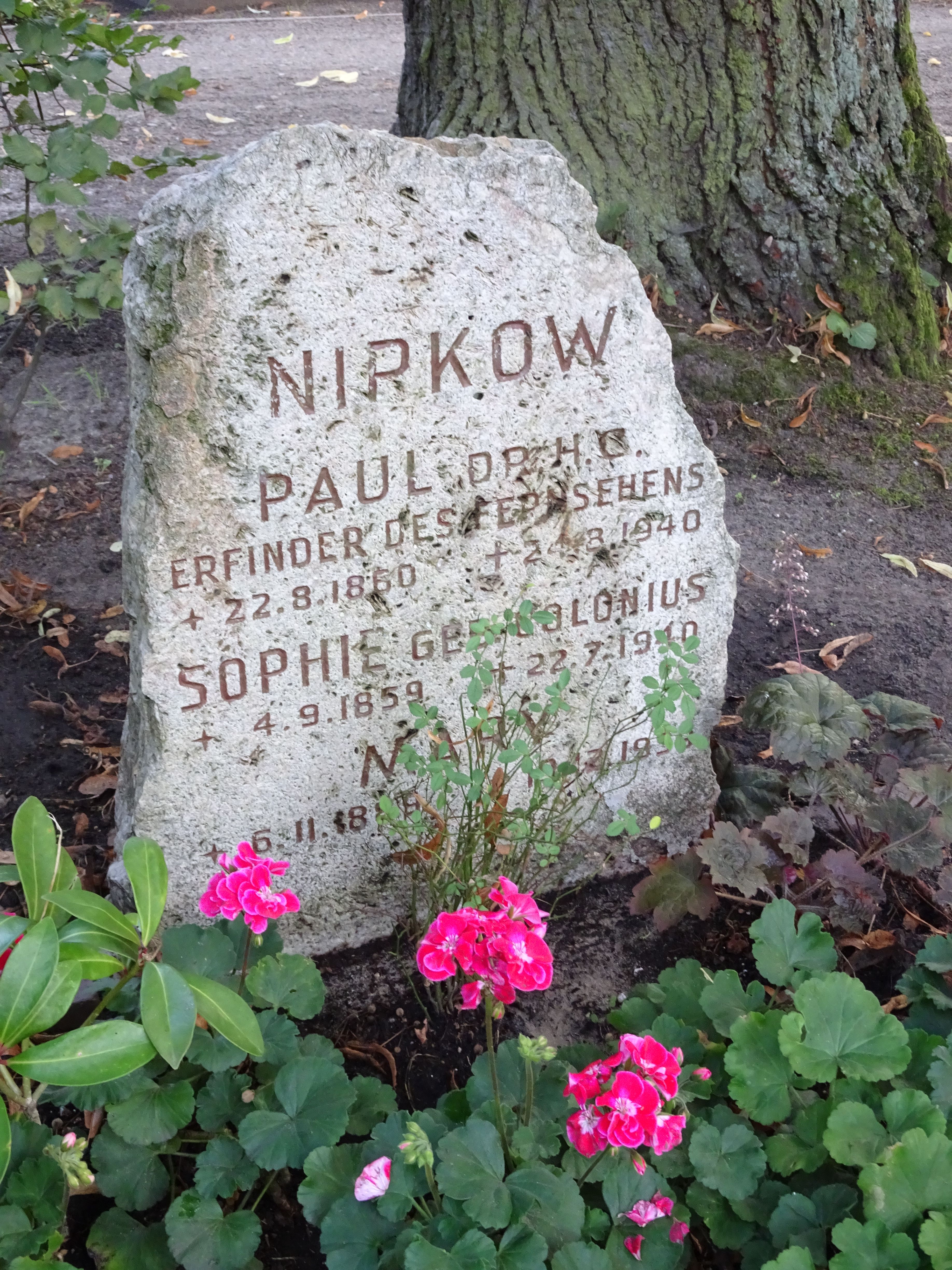 Ehrengrab von Paul Nipkow auf dem Friedhof Pankow III